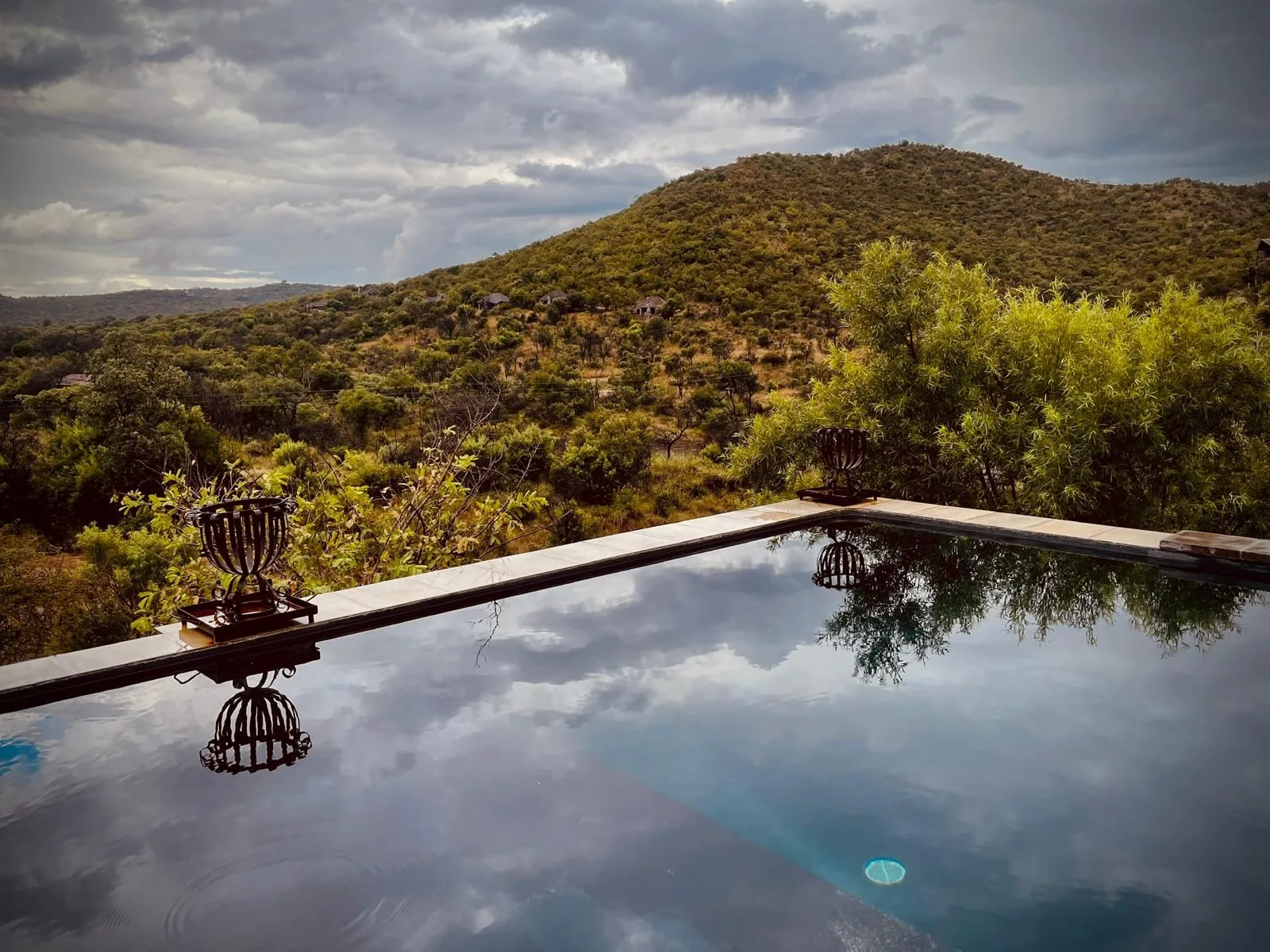 Infinity pool overlooking the bushveld