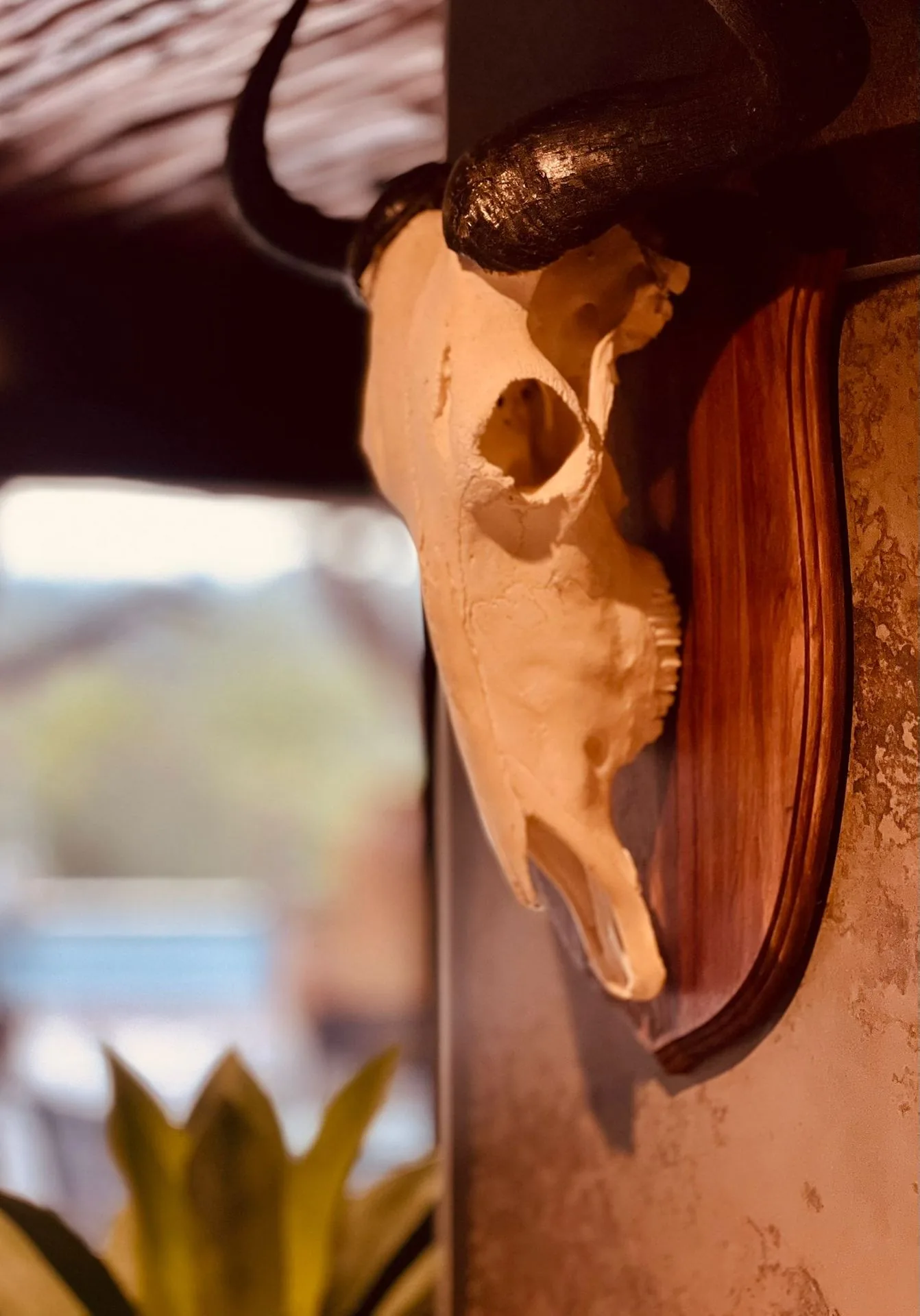Buffalo skull lodge decor detail